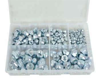 Assorted Steel Dome Nuts (250)